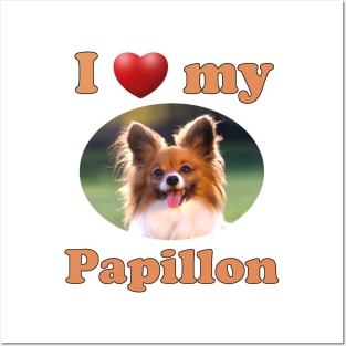 I Love My Papillon Posters and Art